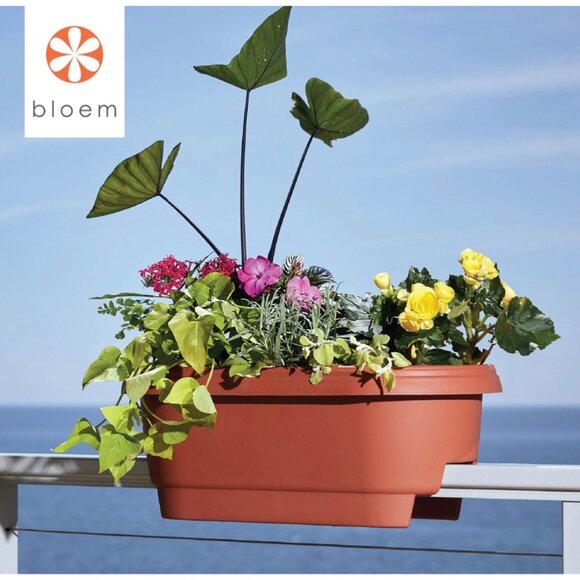 Bloem Terra Cotta Oval Deck Rail Planter 24" Elevated Garden Box (Quantity 2) - Picture 1 of 16